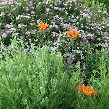 Baba Gaga - Caloroczny Dom Na Mazurach Villa *